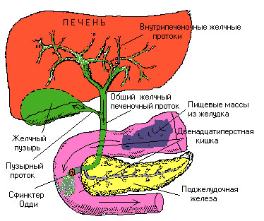 Холецистит