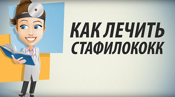 Как лечить стафилококк