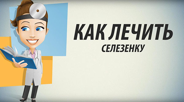 Как лечить селезенку народными средствами травами