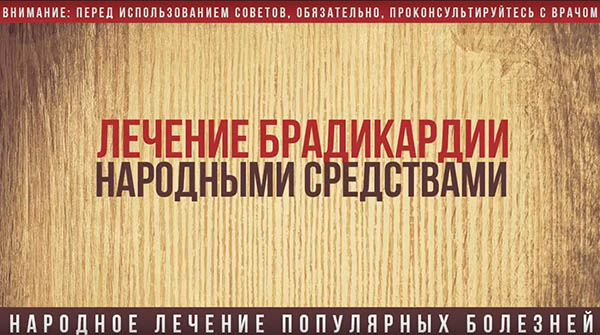 Как лечить брадикардию в домашних условиях народными средствами