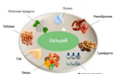 Когда организму необходим кальций