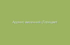 Лечебный потенциал асетилсалициловой кислоты