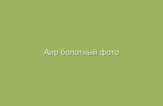 Как приготовить отвары из лекарственных растений
