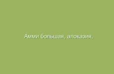 Лечение псориаза народными средствами
