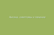 Укроп и его влияние на здоровье