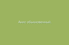 Быстрое оздоровление организма народными средствами