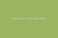 Способы применения корня лопуха