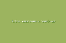 Арбуз, описание и лечебные свойства арбуза, применение в народной медицине и лечение арбузом