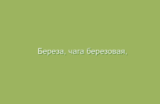 Компрессы из капусты: терапевтические свойства