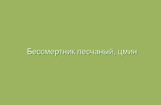 Как применять настойку из бобровой струи