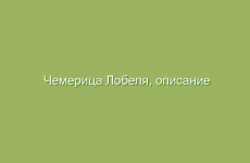 Различия между корами коричневого и белого сахара