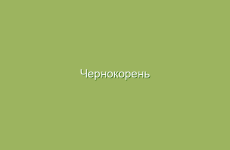 Лечение дрожжевых инфекций народными средствами