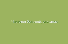 Восстановление микрофлоры кишечника с помощью трав