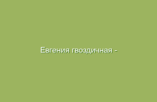 Избавление от прыщей с помощью натуральных средств