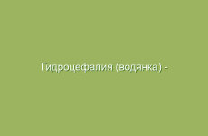 Гидроцефалия (водянка) — симптомы и лечение народными средствами
