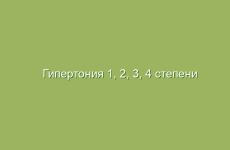 Гипертония 1, 2, 3, 4 степени лечение народными средствами