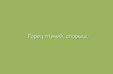 Горец птичий, спорыш, описание и свойства горца птичьего, лечение горцем птичьим, лечение спорышем