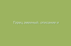 Как использовать пульс для улучшения состояния
