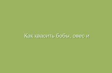 Как квасить бобы, овес и т.п.?