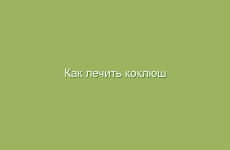 Как использование хвойных и плодов помогает при заболеваниях
