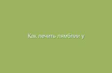 Как лечить лямблии у ребенка и взрослого народными средствами