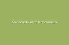 Как лечить отит в домашних условиях