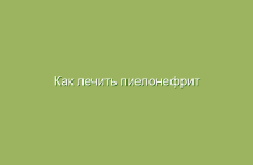 Влияние полыни на метаболизм