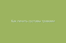 Лечение простатита с помощью корня лопуха