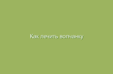 Всемирная история народной медицины: от прошлого к настоящему