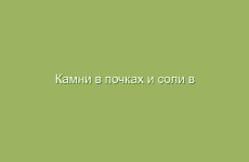 Камни в почках и соли в мочевом пузыре, лечение народными средствами