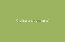 Как использовать арбузы для улучшения пищеварения
