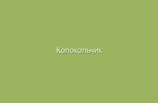 Прямые режимы для уменьшения апатии