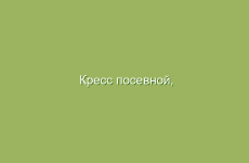 Травяная физиотерапия для заживления