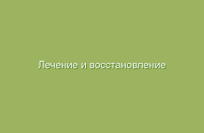 Лечение и восстановление почек народными средствами