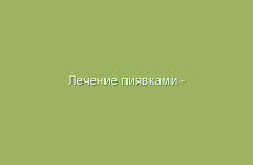 Как применять розмарин для улучшения пищеварительной системы