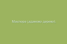 Лечение ожогов с помощью народных средств