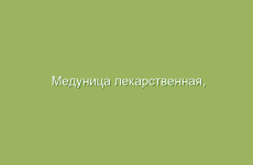 Рецепты от бессонницы с помощью трав