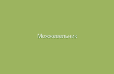 Чай из зверобоя для расслабления