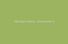 Рецепт лечения язв с использованием черного чая