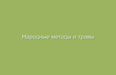 Народные методы и травы при лечении болезней печени и кожи