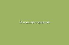 Как использовать пыльцу для борьбы с болезнями
