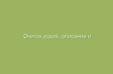 Очиток едкий, описание и лечебные свойства очитка едкого, применение в народной медицине и лечение