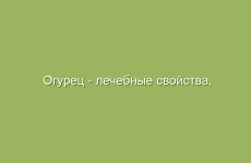 Огурец — лечебные свойства, лечение и профилактика