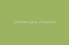 Чай из шиповника: вариации и польза