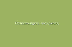 Остеохондроз, спондилез, лечение народными средствами в домашних условиях