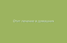 Отит лечение в домашних условиях народными средствами