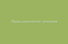 Лечение болезни Альцгеймера с помощью народных средств