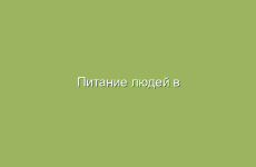 Питание людей в зависимости от вида труда и климата