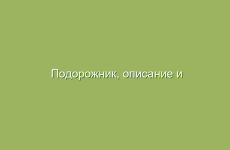 Эфирные масла для ванн и ингаляций