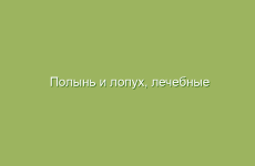Как использовать желатин для улучшения состояния